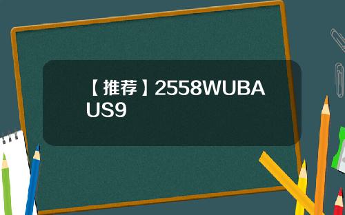 【推荐】2558WUBAUS9