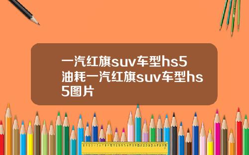 一汽红旗suv车型hs5油耗一汽红旗suv车型hs5图片