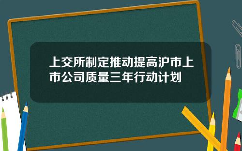 上交所制定推动提高沪市上市公司质量三年行动计划