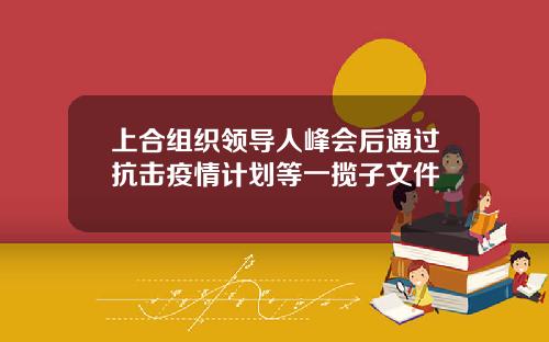 上合组织领导人峰会后通过抗击疫情计划等一揽子文件