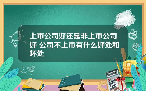 上市公司好还是非上市公司好 公司不上市有什么好处和坏处