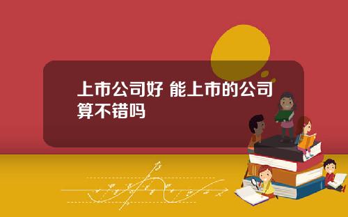 上市公司好 能上市的公司算不错吗