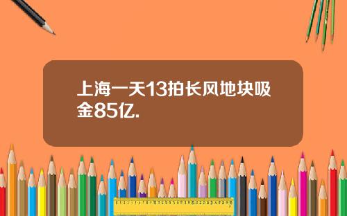 上海一天13拍长风地块吸金85亿.