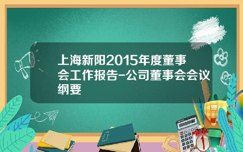 上海新阳2015年度董事会工作报告-公司董事会会议纲要