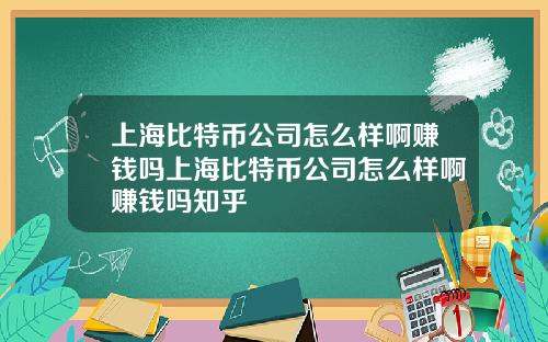 上海比特币公司怎么样啊赚钱吗上海比特币公司怎么样啊赚钱吗知乎