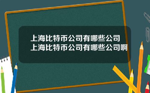 上海比特币公司有哪些公司上海比特币公司有哪些公司啊