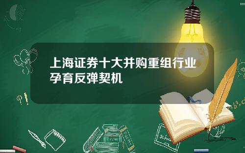 上海证券十大并购重组行业孕育反弹契机