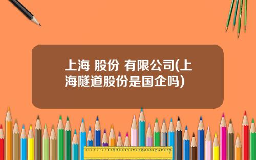 上海 股份 有限公司(上海隧道股份是国企吗)