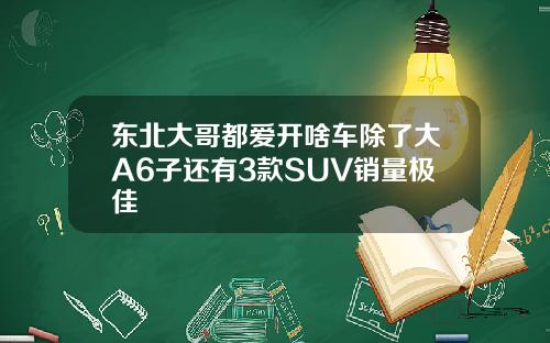 东北大哥都爱开啥车除了大A6子还有3款SUV销量极佳