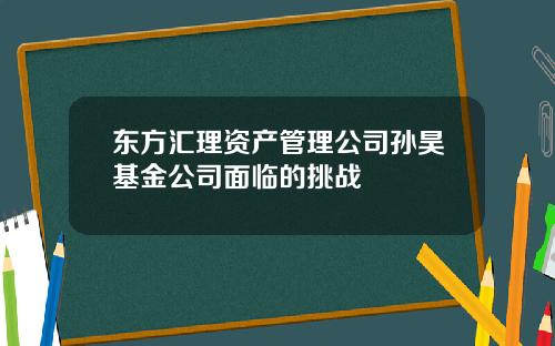 东方汇理资产管理公司孙昊基金公司面临的挑战