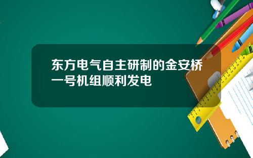 东方电气自主研制的金安桥一号机组顺利发电