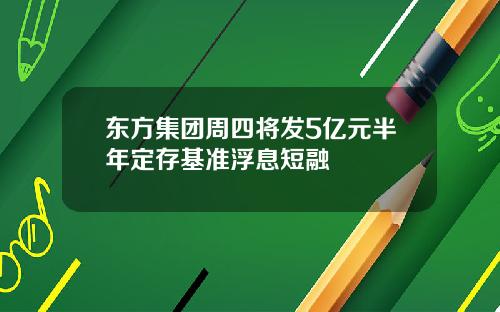 东方集团周四将发5亿元半年定存基准浮息短融