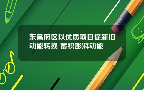 东昌府区以优质项目促新旧动能转换 蓄积澎湃动能