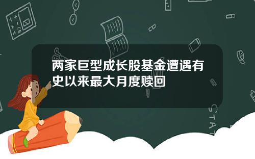 两家巨型成长股基金遭遇有史以来最大月度赎回