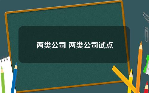 两类公司 两类公司试点