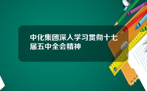 中化集团深入学习贯彻十七届五中全会精神