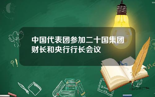 中国代表团参加二十国集团财长和央行行长会议