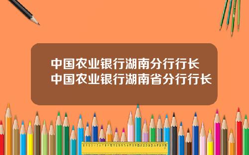 中国农业银行湖南分行行长中国农业银行湖南省分行行长