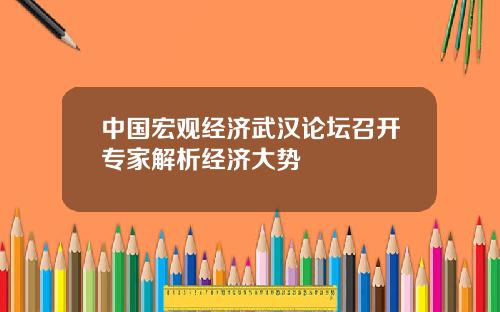 中国宏观经济武汉论坛召开专家解析经济大势