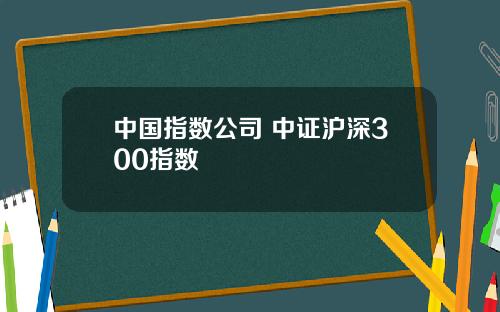 中国指数公司 中证沪深300指数