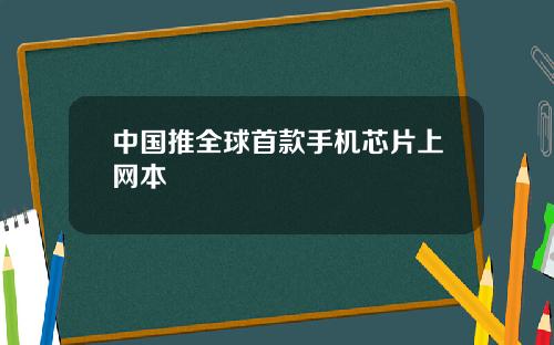 中国推全球首款手机芯片上网本