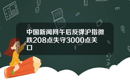 中国新闻网午后反弹沪指微跌208点失守3000点关口