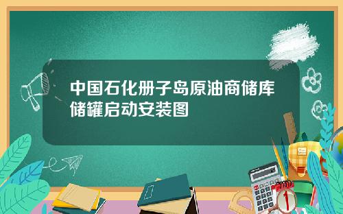 中国石化册子岛原油商储库储罐启动安装图