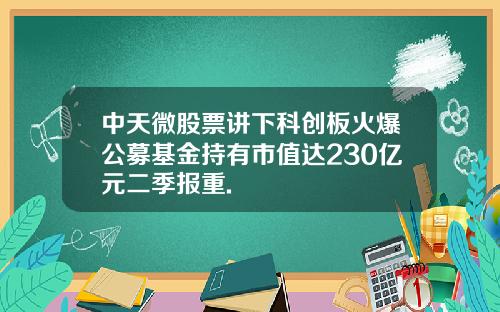 中天微股票讲下科创板火爆公募基金持有市值达230亿元二季报重.