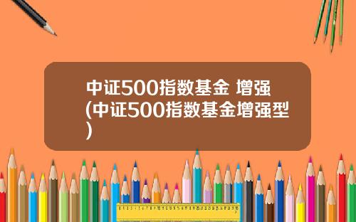 中证500指数基金 增强(中证500指数基金增强型)