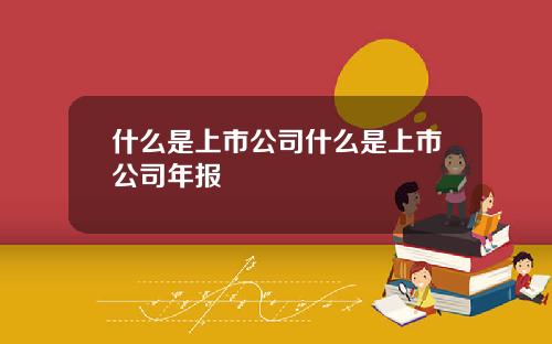 什么是上市公司什么是上市公司年报