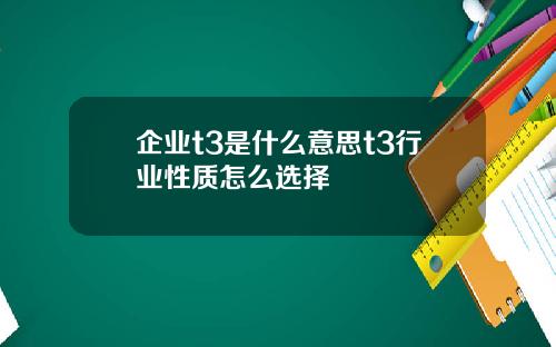 企业t3是什么意思t3行业性质怎么选择