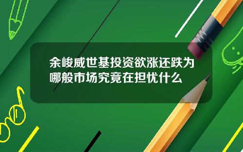 余峻威世基投资欲涨还跌为哪般市场究竟在担忧什么