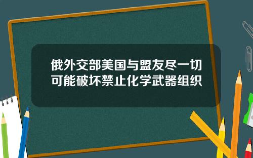 俄外交部美国与盟友尽一切可能破坏禁止化学武器组织