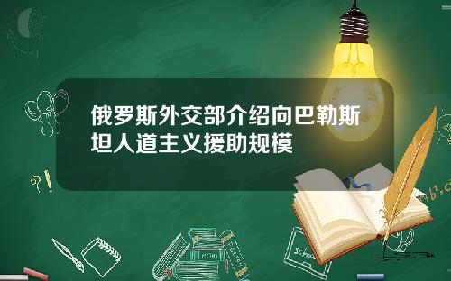 俄罗斯外交部介绍向巴勒斯坦人道主义援助规模