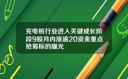 充电桩行业进入关键成长阶段9股月内涨逾20资金重点抢筹标的曝光