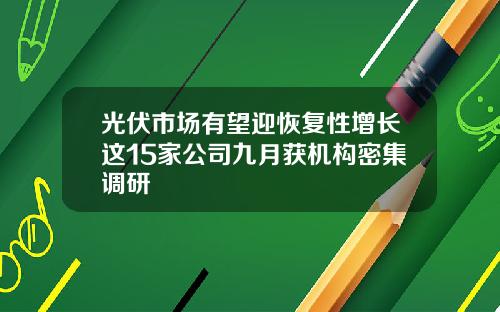 光伏市场有望迎恢复性增长这15家公司九月获机构密集调研