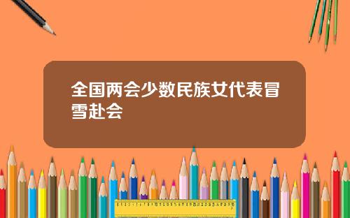 全国两会少数民族女代表冒雪赴会