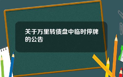 关于万里转债盘中临时停牌的公告