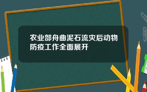 农业部舟曲泥石流灾后动物防疫工作全面展开