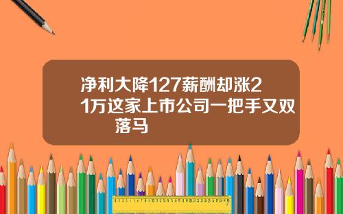 净利大降127薪酬却涨21万这家上市公司一把手又双叒叕落马