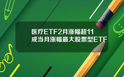 医疗ETF2月涨幅超11成当月涨幅最大股票型ETF