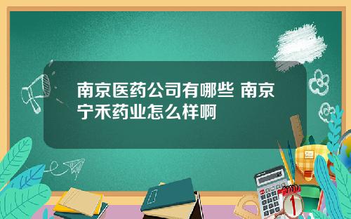 南京医药公司有哪些 南京宁禾药业怎么样啊