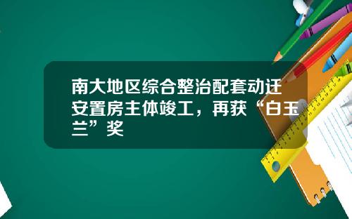 南大地区综合整治配套动迁安置房主体竣工，再获“白玉兰”奖