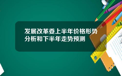 发展改革委上半年价格形势分析和下半年走势预测