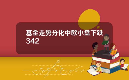 基金走势分化中欧小盘下跌342