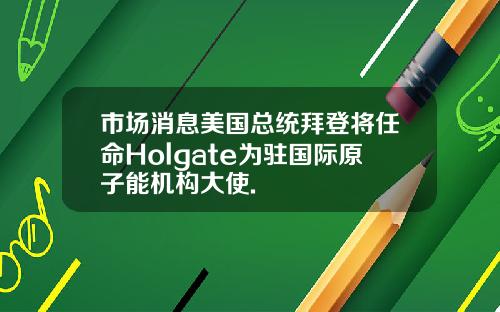 市场消息美国总统拜登将任命Holgate为驻国际原子能机构大使.