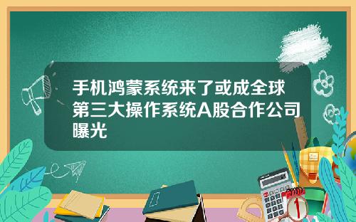 手机鸿蒙系统来了或成全球第三大操作系统A股合作公司曝光