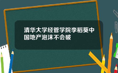 清华大学经管学院李稻葵中国地产泡沫不会破