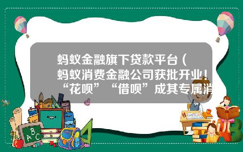 蚂蚁金融旗下贷款平台 (蚂蚁消费金融公司获批开业！“花呗”“借呗”成其专属消贷产品 将去支付宝化？)_1