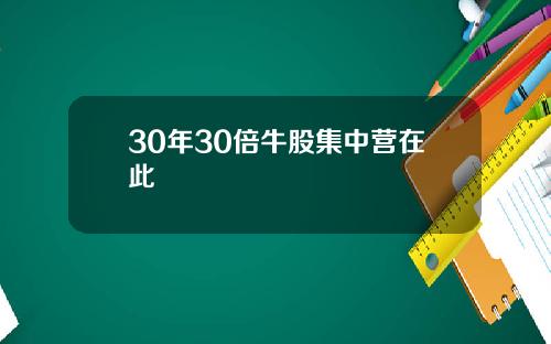 30年30倍牛股集中营在此